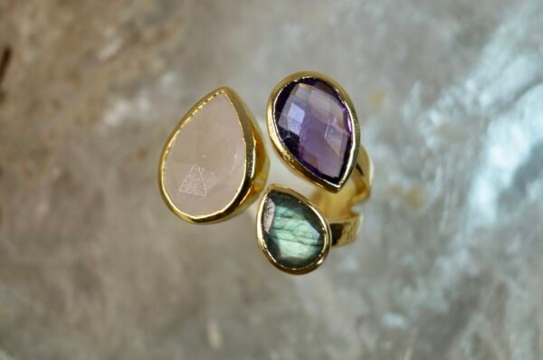 DSC01039 Anillo Presencia