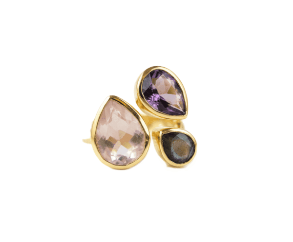 Gemini_Generated_Image_2j55l42j55l42j55_1 Anillo Presencia