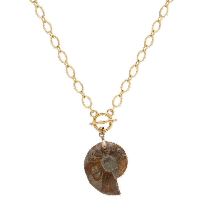 Gemini_Generated_Image_1oo48c1oo48c1oo4 Collar Amonita