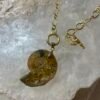 Collar Amonita